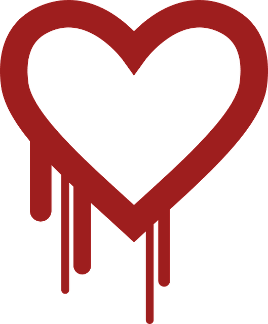 Heartbleed OpenSSL Exploit and CyberSpyder, Inc. 1 Heartbleed