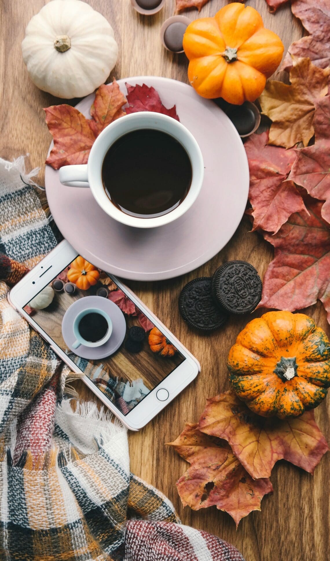 septemberfall1